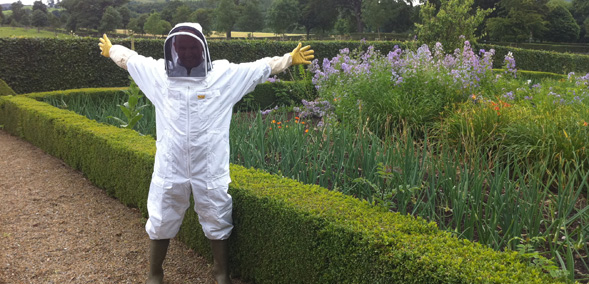 Bee hives and herb garden at the Devonshire