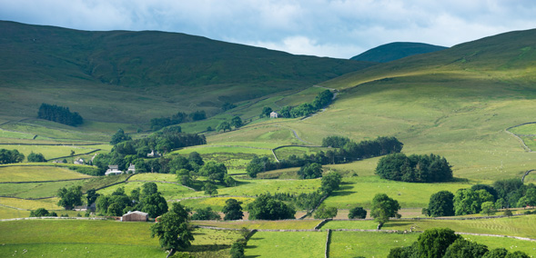 Views around Ravenstonedale