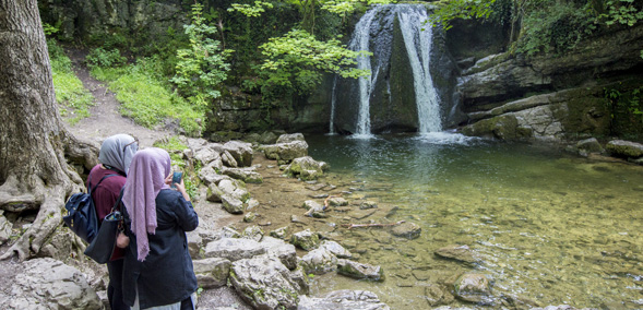 Janet's Foss