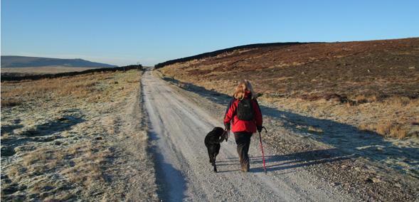 Frosty walk on Grassington Moor