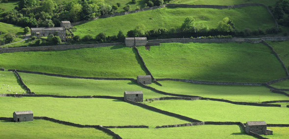 Yorkshire Dales landscape