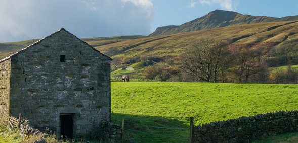 wild-boar-fell.jpg