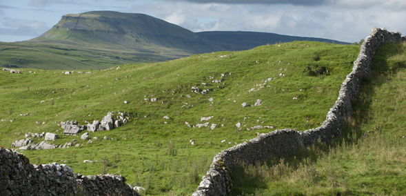 A view of Pen-y-ghent