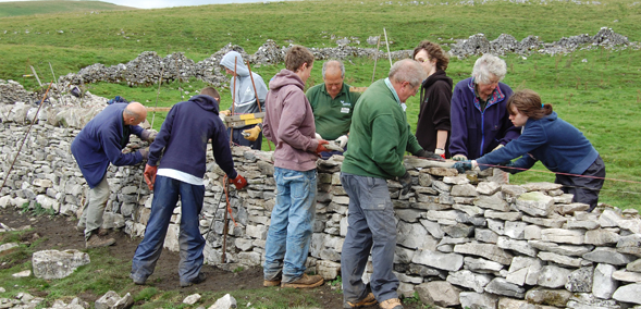 Duke of Edinburgh's group drystone walling