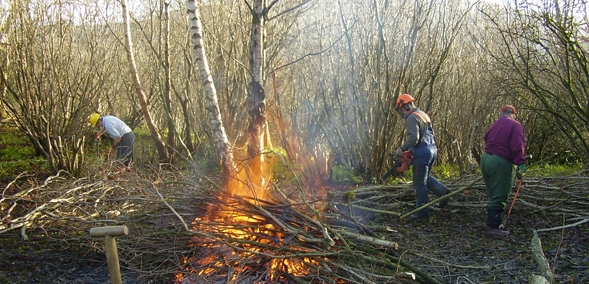 Coppicing at Aysgarth