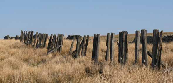 Snow fences at Dent