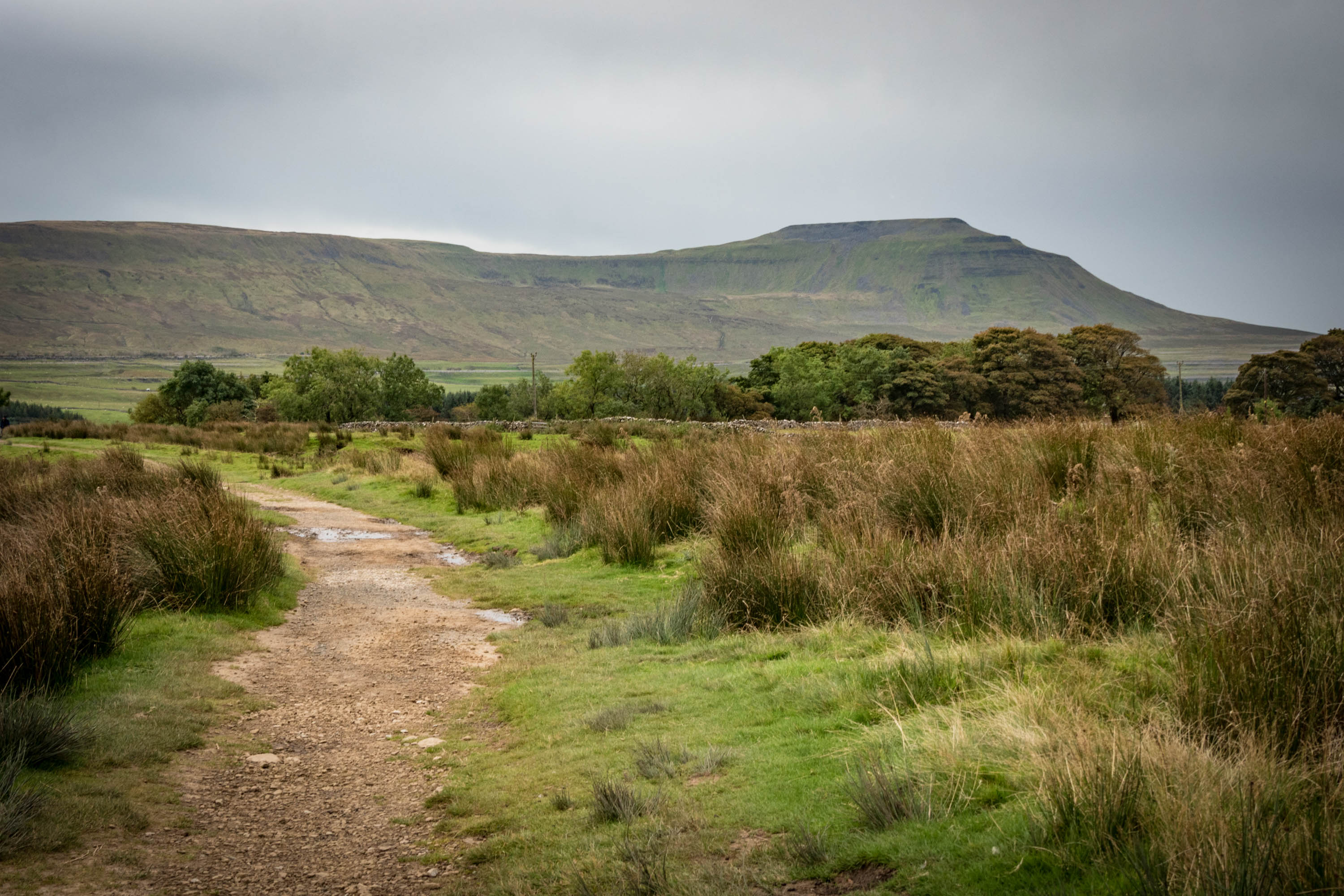 Ingleborough