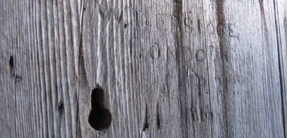 Graffiti on a door near Askrigg