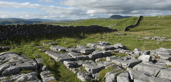 Ribblesdale