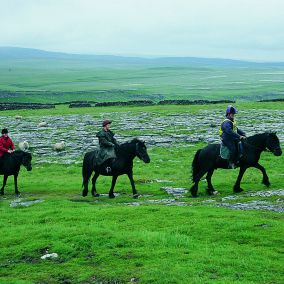 Pony trekking
