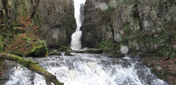 Catrigg Force