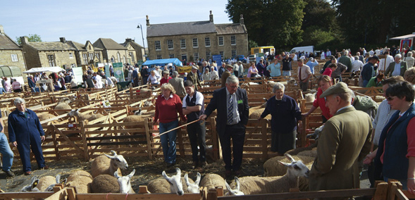 Masham Sheep Fair