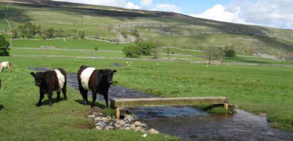 Surveying a footbridge in Littondale