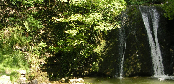 Janet's Foss