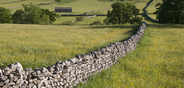 Flowers of the Dales Festival