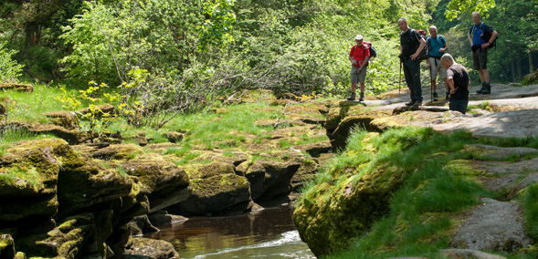 River Wharfe