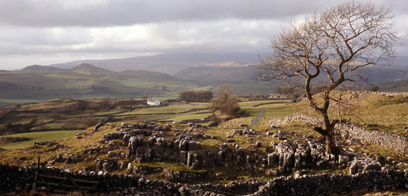 Winskill Stones